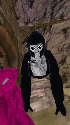 if i find a any color blue monkey the video ends