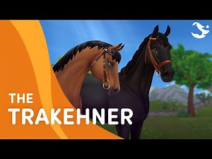 The Trakehner | Star Stable Teasers