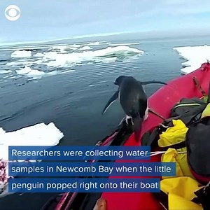 49K views · 858 reactions | Wait for it...  | WFSB - Channel 3 Eyewitness News | Facebook