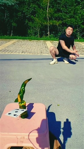 Shamshad Ansari on Instagram: "How to throwing card | #reels #viral #video"