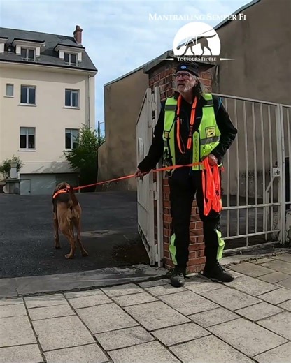 Le patron : un peu trop pressé sur la longe ! 😂