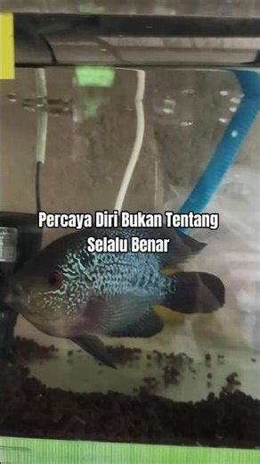 Kepercayaan diri tidak datang dari selalu benar. #mindset #motivasihidup #fyp