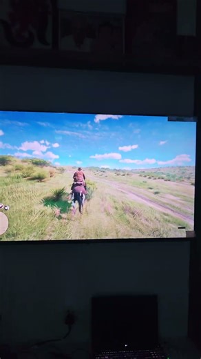 Red Dead Redemption 2 4k Graphics test on Asus TuF A15 , Ryzen 7 7435Hs , RtX 4060 #asustufa15 #rdr2