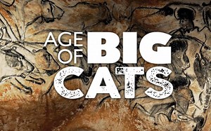【纪录片/英语生肉】大猫时代 Age of Big Cats 全3集