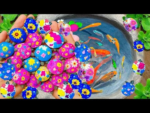 Catching Turtles To Nest In Small Ponds, Pencil Fish, Catfish, Guppies, Discus Fish, Arowana Fish