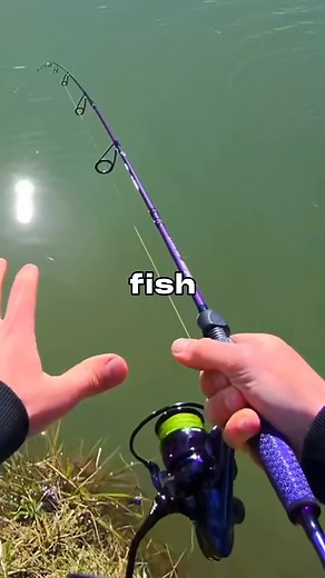 I Fished with a MICRO Lure 🐟🎣 #kastking #royalelegendpro #springtok | Dryfly Fishing.