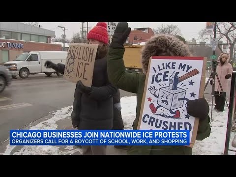 Chicago protesters, businesses participate in nationwide strike against immigration crackdown