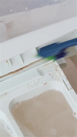 Washing Machine Cleaning Essentials | Genius Panda