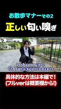 【犬の散歩マナー】正しい匂い嗅ぎとは