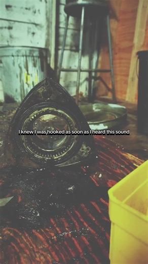 Exploring the Passion for Rotary Engines