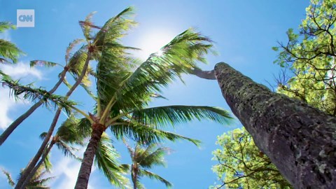 Meet the woman keeping Hawaii Sign Language alive
