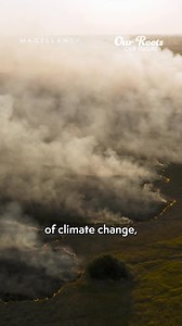 26 reactions | From Thinking Plants to Prancing Cows: Discover Earth’s Hidden Stories for $0.99. | MagellanTV | Facebook