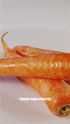 How Carrots Fooled Hitler: WWII’s Funniest Lie! #wwii #propaganda