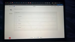 Who founded Carthage?PhoeniciansGreeksEgyptiansEtruscans... | Filo