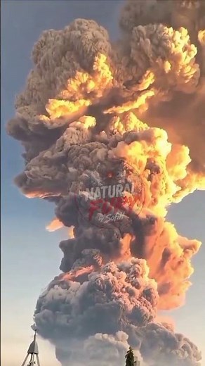 Fire Tornado Caught on Camera! Nature's Most Terrifying Phenomenon #toronto #natural