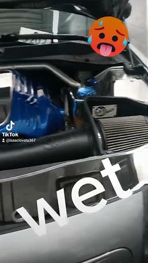 $$$ Dodge Charger Engine cover chromed out and painted plastics. $$$