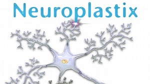 Neuroplastic Transformation by Dr. M. Moskowitz