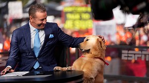 Why does Kirk Herbstreit travel with a dog for 'College GameDay'? What to know about Peter