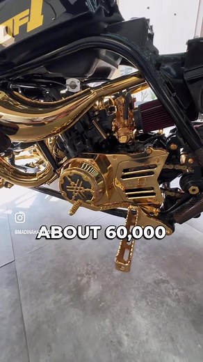 Custom 100HP Gold Plated Banshee Transformation Revealed