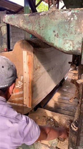 From Giant Red Sapwood to Luxury Timber 💰🔥