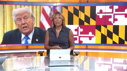 President Trump Sues U.S. District Court of Maryland and all State Federal Judges