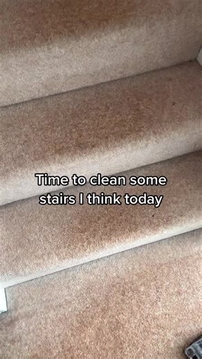 #fypシ #dyson #Vax #dysoncineticbigballanimal #vaxplatinumpowermax #staircleaning