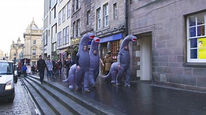 8.5K views · 14 reactions | Be more dino! Race into the week like a herd of Diplodocus 秊 | Morphsuits | Facebook