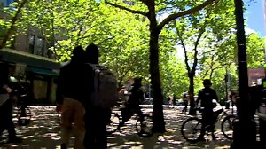 50K views · 329 reactions | Seattle police used pepper spray and arrested multiple protesters for assault today as protests were wrapping up: bit.ly/2t6tpvh | KOMO News | Facebook