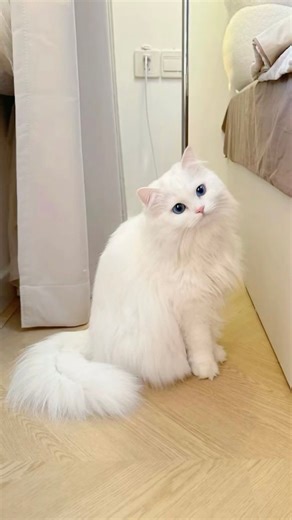 Wellness wins for every pet to start them off on the right paw.  Shop VIP exclusive offers on treats, toys, food, flea and tick care, and new pet essentials all month. Not a VIP Rewards member? Join for FREE today! Hurry, deals end January 27. Shop now: https://www.petsupermarket.com/deals-at-petsupermarket.html | Pet Supermarket | Facebook