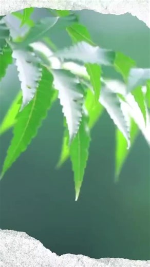 #emprendimiento #social #education #mujeres #steam