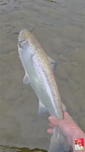 This Trout Was WAY Bigger Than I Expected! 😱🎣