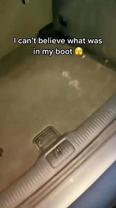 35K views · 37 reactions | Matt Cooper on Reels | Facebook