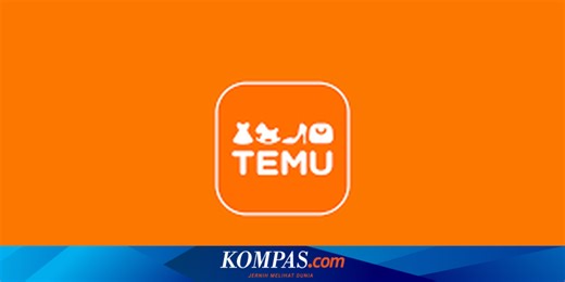 Ditolak Sejumlah Menteri, Apa Itu "E-commerce" China Temu dan Bahayanya?