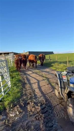 3.9K views · 82 reactions | Our Farming Committee arranged a very...