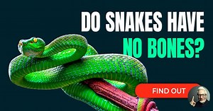 Amazing facts to maximize your knowledge