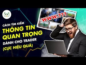 How to Find Important Trader Information (Extremely Effective) | Wise Owl