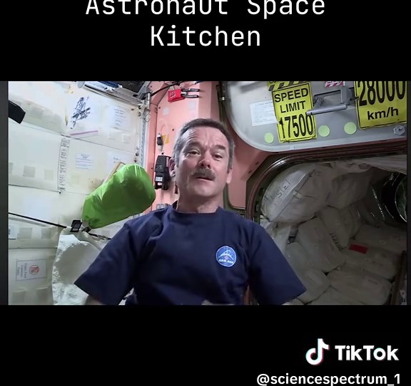 Chris Hadfield Space kitchen #space #astronaut #spacethings #fyp #viral