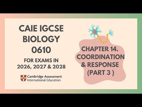 14. Coordination and Response(Part 3)(3/4)(Cambridge IGCSE Biology 0610 for exams in 2026,2027,2028)