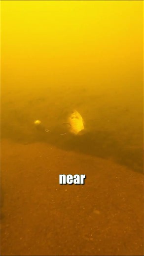 Stop Sitting & Start Drifting To Catch Catfish: Swap From Lead to Steel: FATKAT Best Catfishing Rigs