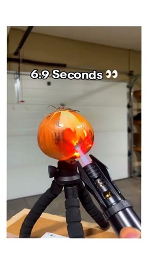 Imagine 30 seconds tho 😈🔥