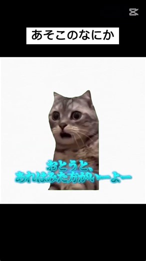 【音源お借りしました】おにいちゃーん、あそこになにかいるーよー #猫ミーム#ばすれ