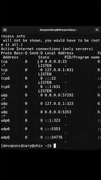 Day 20 Part B: DNS & Port Check in Linux | nslookup, netstat (Short Practical)