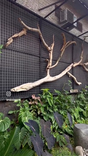 11K views · 197 reactions | How to add wood to your garden. | Simply David & Jen | Facebook