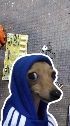 ALL ABOUT AMPLIFIER (@all.about.amplifier)’s videos with original sound - ALL ABOUT AMPLIFIER