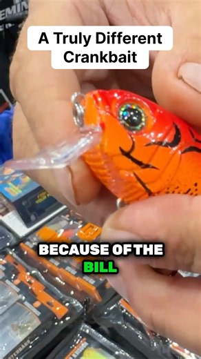 Truly Unique Crankbait