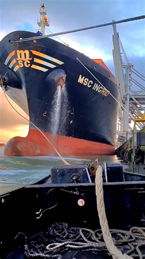 Up-close moments from real mooring operations — pure power, tension, and precision as the lines tighten and the bow thruster moves thousands of tons into perfect position. ⚓ Every second counts when ships this size come alongside. #ShipChannel #MSC #MegaShip #ContainerShip #USAPorts #MaritimeEngineering #DockingOperations #PortLife #IndustrialPower #EngineeringInMotion #HeavyMachinery #RealOperations #OceanFreight #GlobalTrade #HarborWork #MarineEngineering #WorkThatMatters #Precision #RealPower