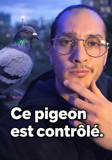 Une “théorie du complot”… vraiment ? #theorie #pigeon #espion #robot #mystere