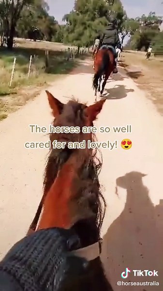 Have you been? #woodlandstrailriding #whatsonmelb #melbournetourism #visitmelb #melbourneactivity #melbournedateideas