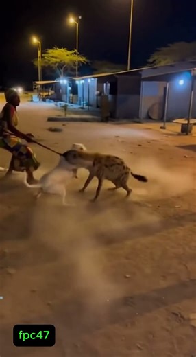 Hero Dog Saves Owner from Hyena Attack 🐕⚡ #wildlife #rescue #africa