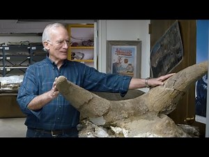 10,000+ Dinosaurs Buried in Wyoming During Noah's Flood - Dr. Arthur Chadwick
